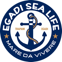 Escursioni isole Egadi con Egadi Sea Life